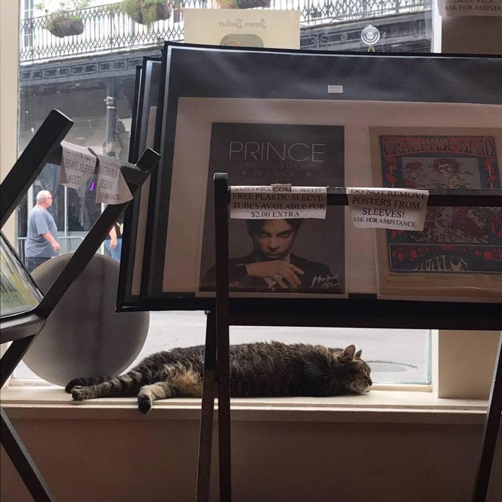 Meet your Posher, Cara